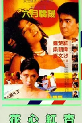 看av在线