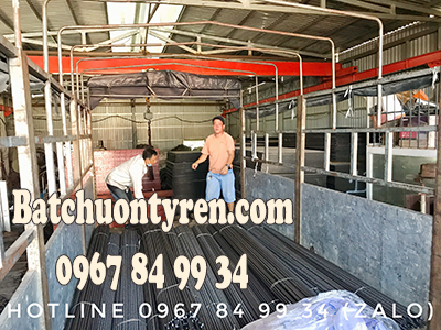 Ty ren tán chuồn