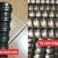 tyren bát chuồn