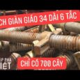 Kích tăng giàn giáo 34 dài 6 tấc nặng 2.5kg (chỉ có 700 cây) #shorts